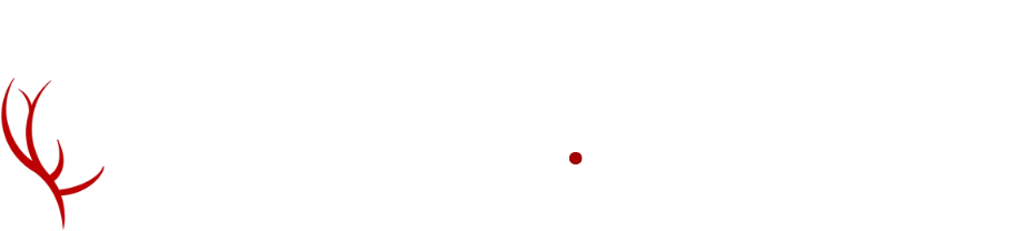 Clínica de Várices