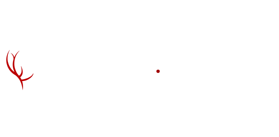 logo-clinica-varices-bco